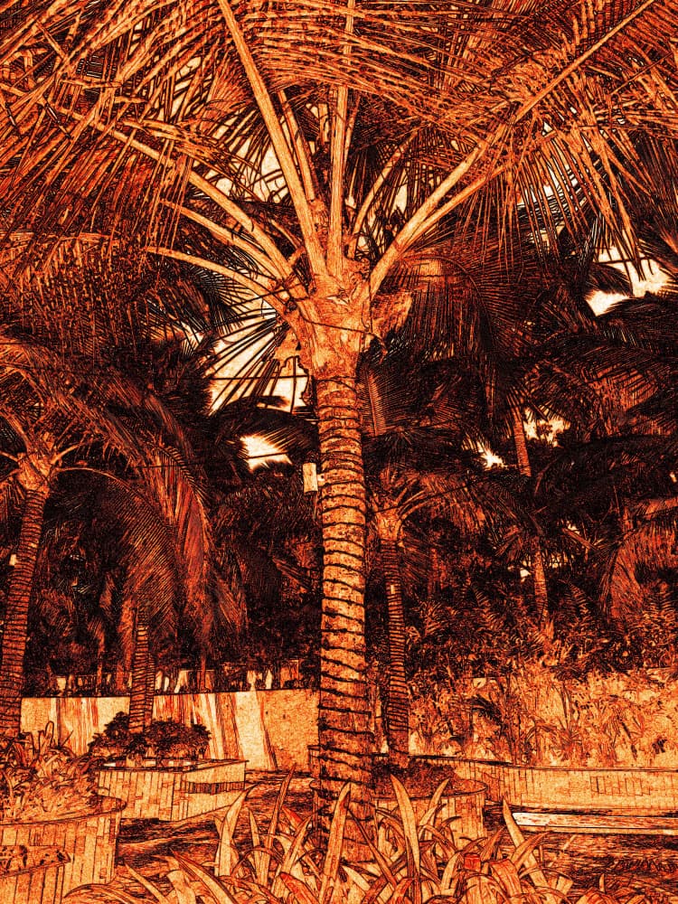 Golden Tropical Palms by Santhosh ch — canvas wall art