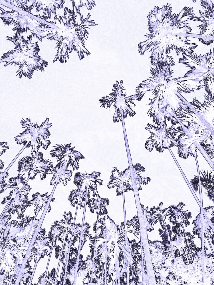 Skyward Palm Forest by Santhosh ch — canvas wall art
