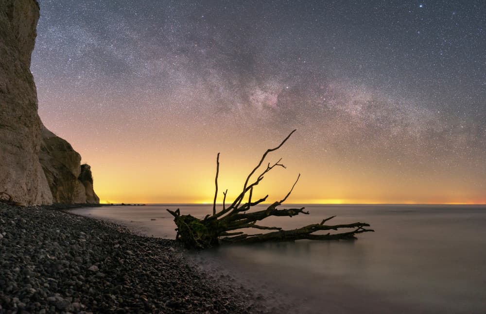 Driftwood Under Starry Sky by Keller — canvas wall art