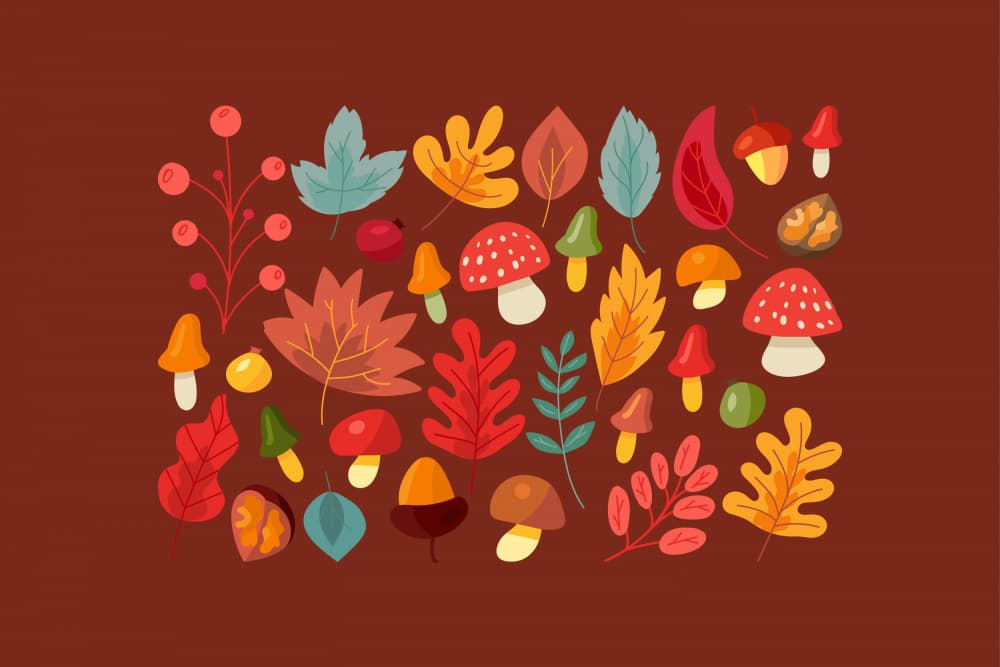 Autumn Forest Elements by Marika Barsrsind — canvas wall art