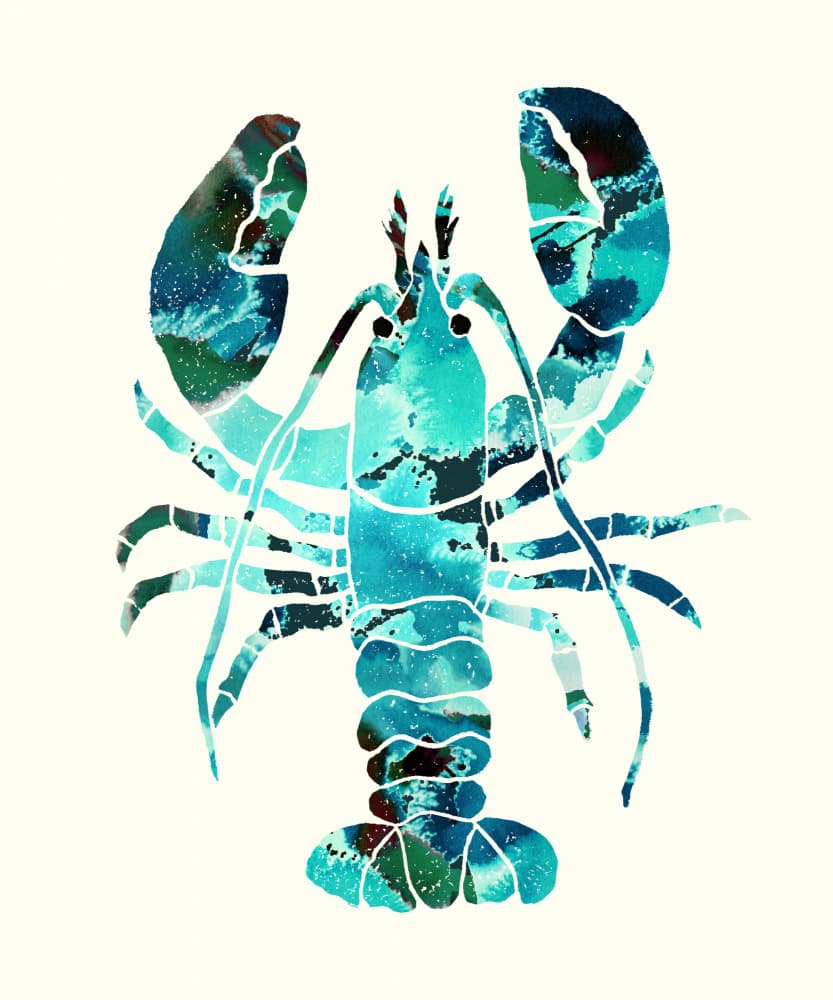 Vibrant Aqua Lobster by Melissa McKeagney — canvas wall art