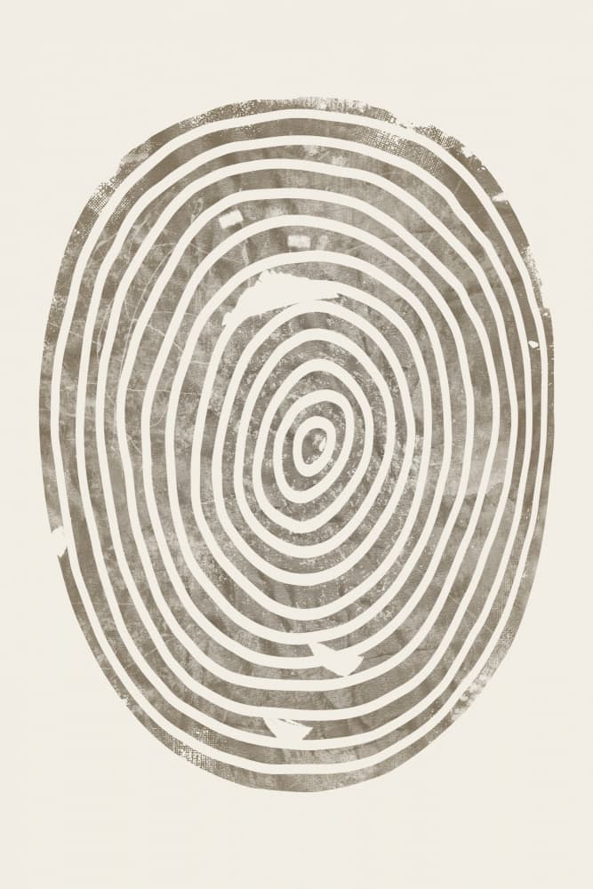 Concentric Wood Rings by Ema Paraschiv — canvas wall art