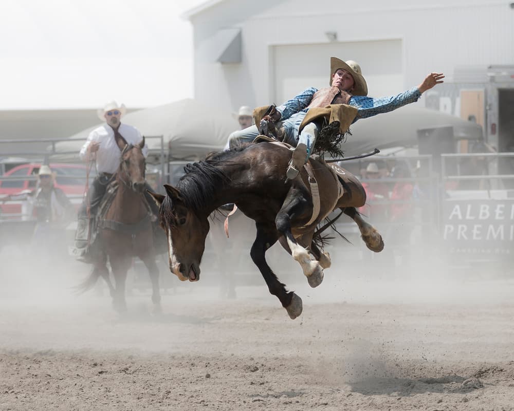 Cowboy Rides Bucking Horse by Cheng Chang — canvas wall art