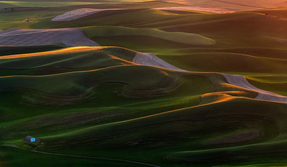 Golden Hour Rolling Hills by Annie Poreider — canvas wall art