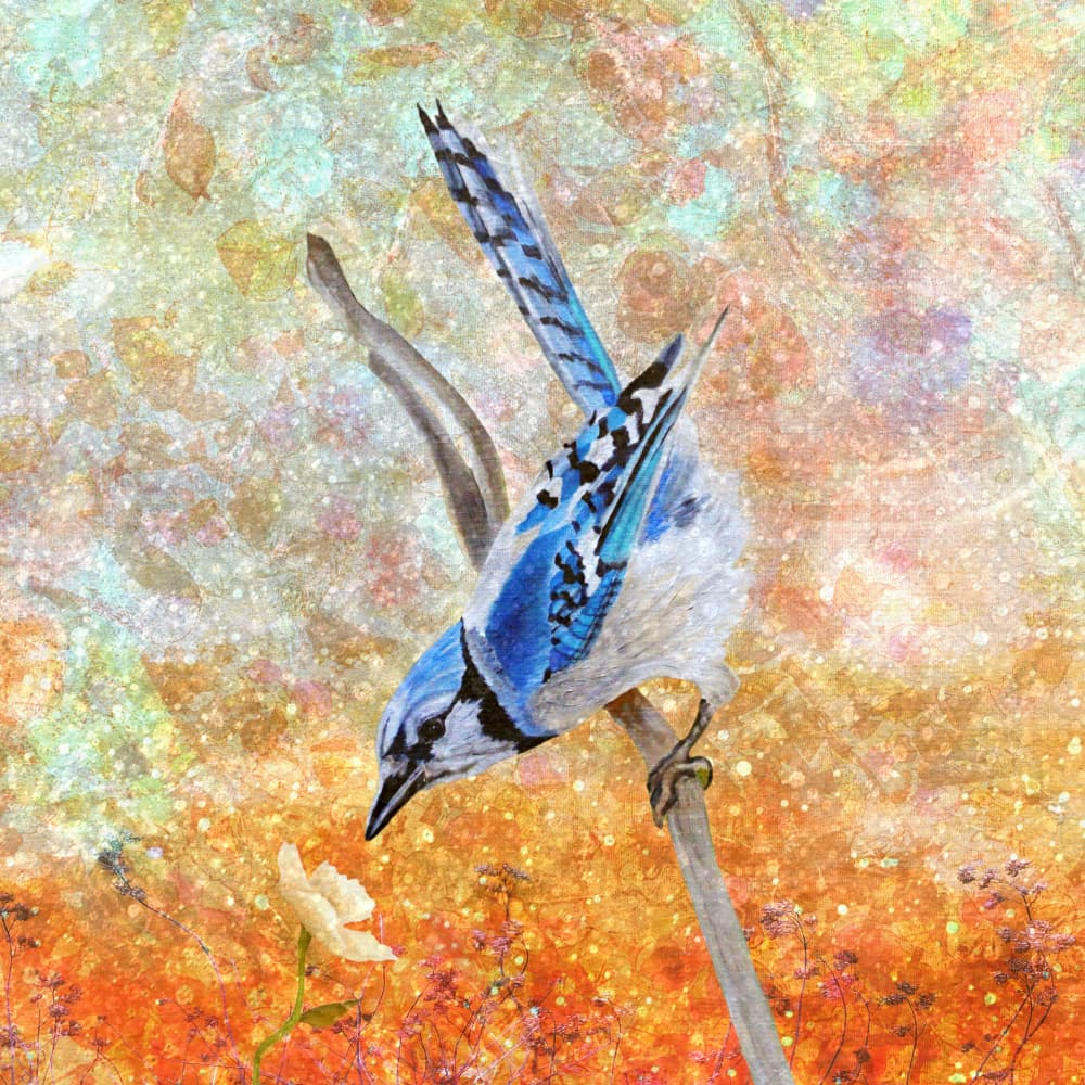 Curious Blue Jay by Angeles M. Pomata — canvas wall art