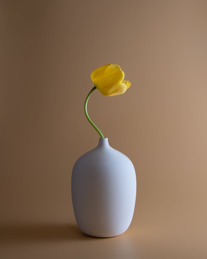 Elegant Yellow Tulip by Qing Li — canvas wall art