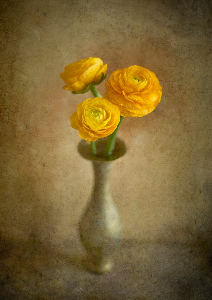 Golden Ranunculus Vase by Igor Tokarev — canvas wall art