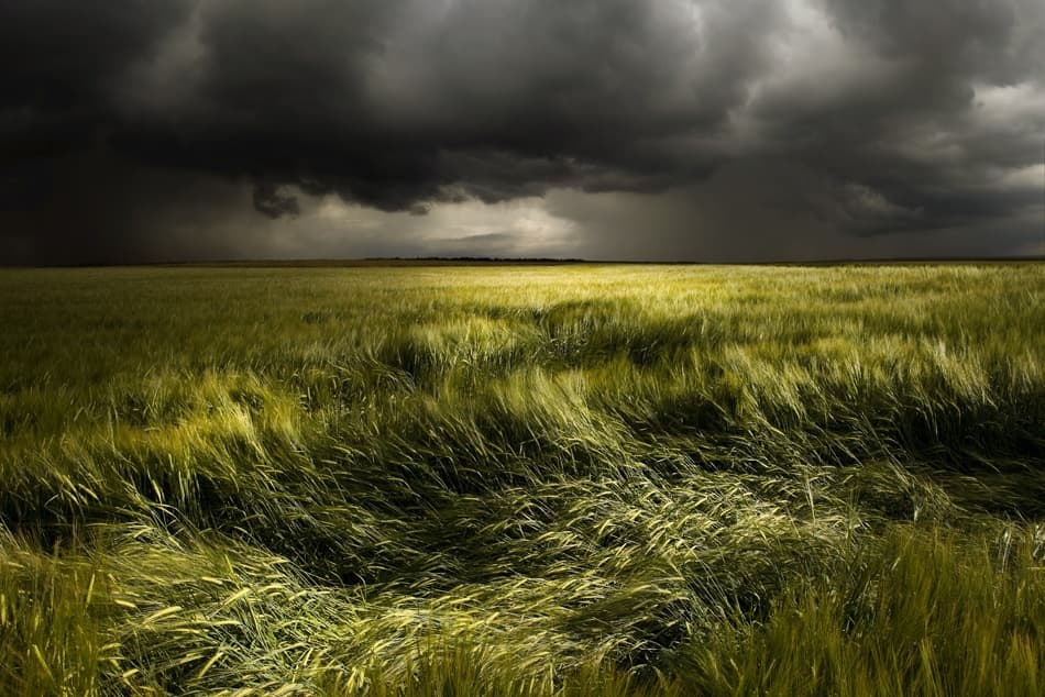 Dramatic Field Storm by Nicolas Schumacher — canvas wall art