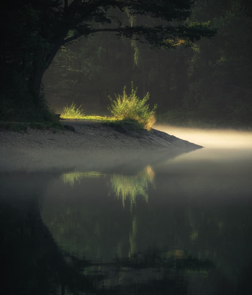 Serene Morning Mist by Ales Krivec — canvas wall art