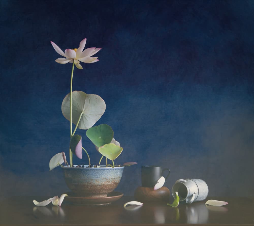 Serene Lotus Still Life by Fangping Zhou — canvas wall art