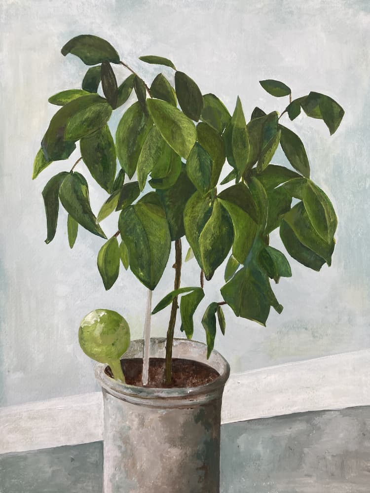 Still Life Potted Plant