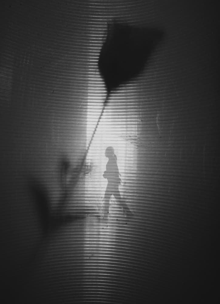Walking Past Floral Shadow by Kahar Lagaa — canvas wall art