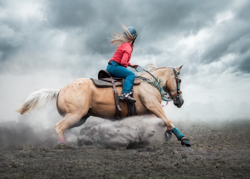 Powerful Horse Gallop by Frank Ma — canvas wall art
