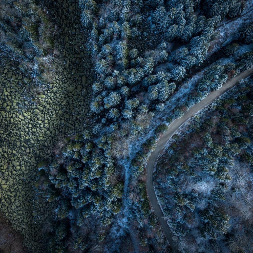 Winter Forest Road by Lubomir Vladikov — canvas wall art