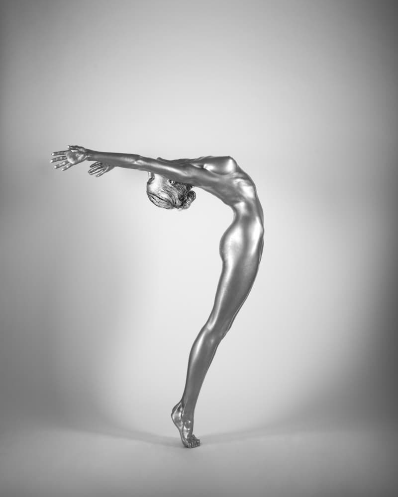 Graceful Silver Figure by Arkadiusz Branicki — canvas wall art