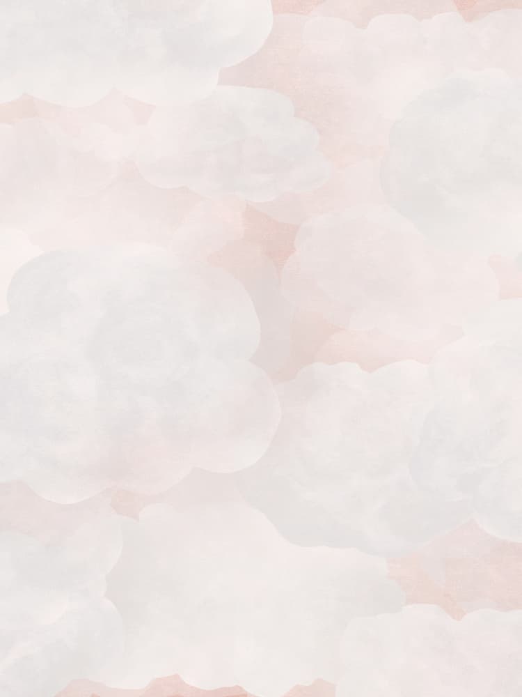 Soft Blush Clouds by Karen Menzenbach — canvas wall art