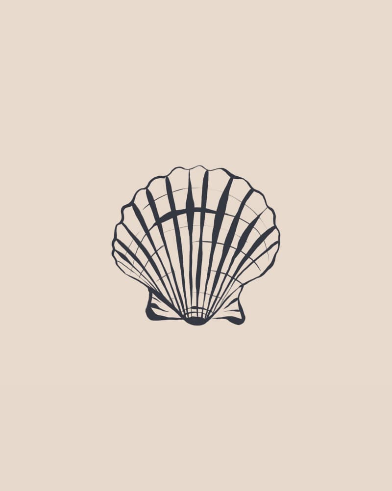 Minimal Scallop Shell by Ivy Green Illustrations — canvas wall art
