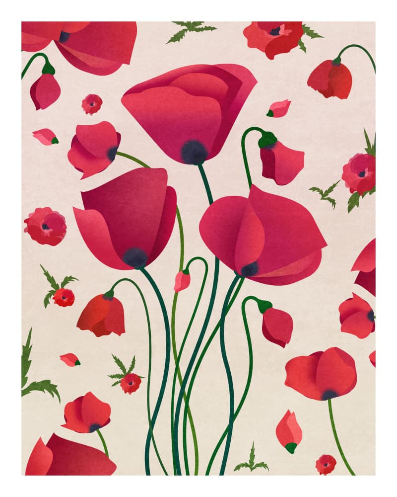 Poppy Blossoms by Emel Tunaboylu — canvas wall art