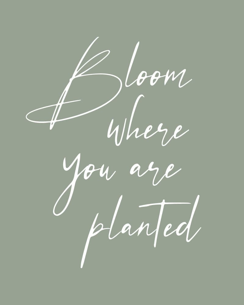 Bloom Where Planted by KsanaKalpa — canvas wall art