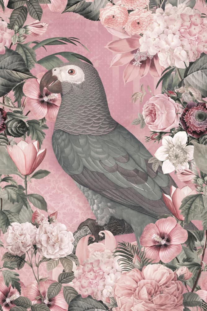 Pink Parrot Garden by Andrea Haase — canvas wall art