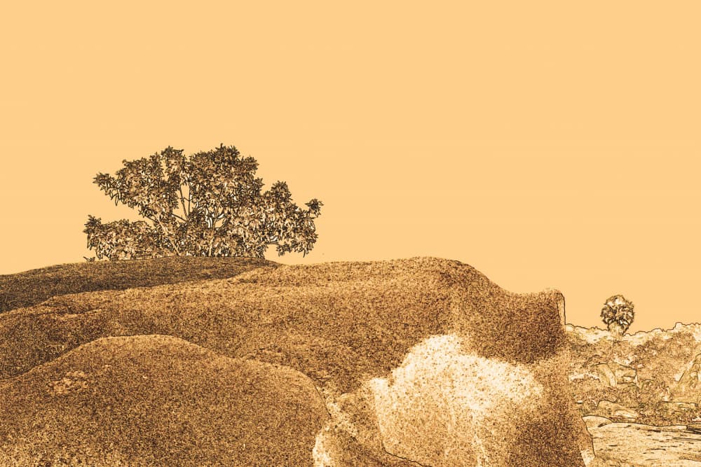 Sepia Rolling Hills by Santhosh ch — canvas wall art
