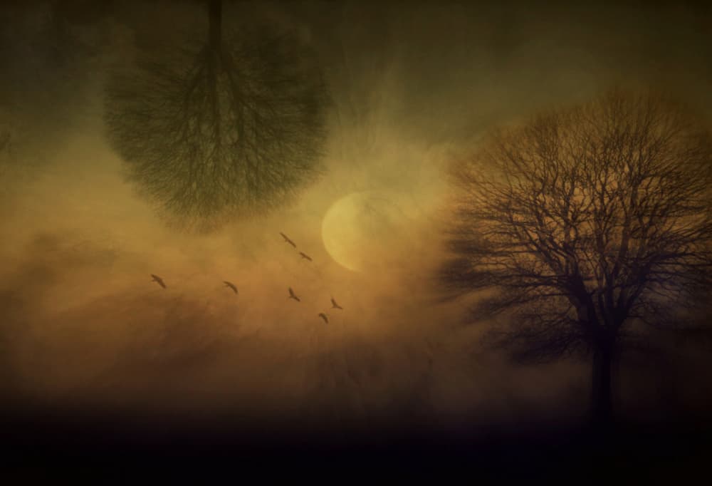 Ethereal Trees Golden Moon by Robert Fabrowski — canvas wall art