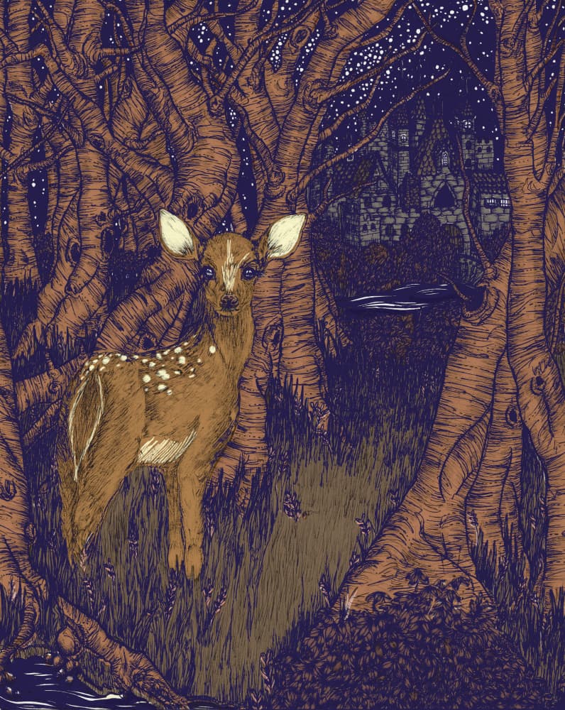 Starry Forest Fawn by EC Mazur — canvas wall art