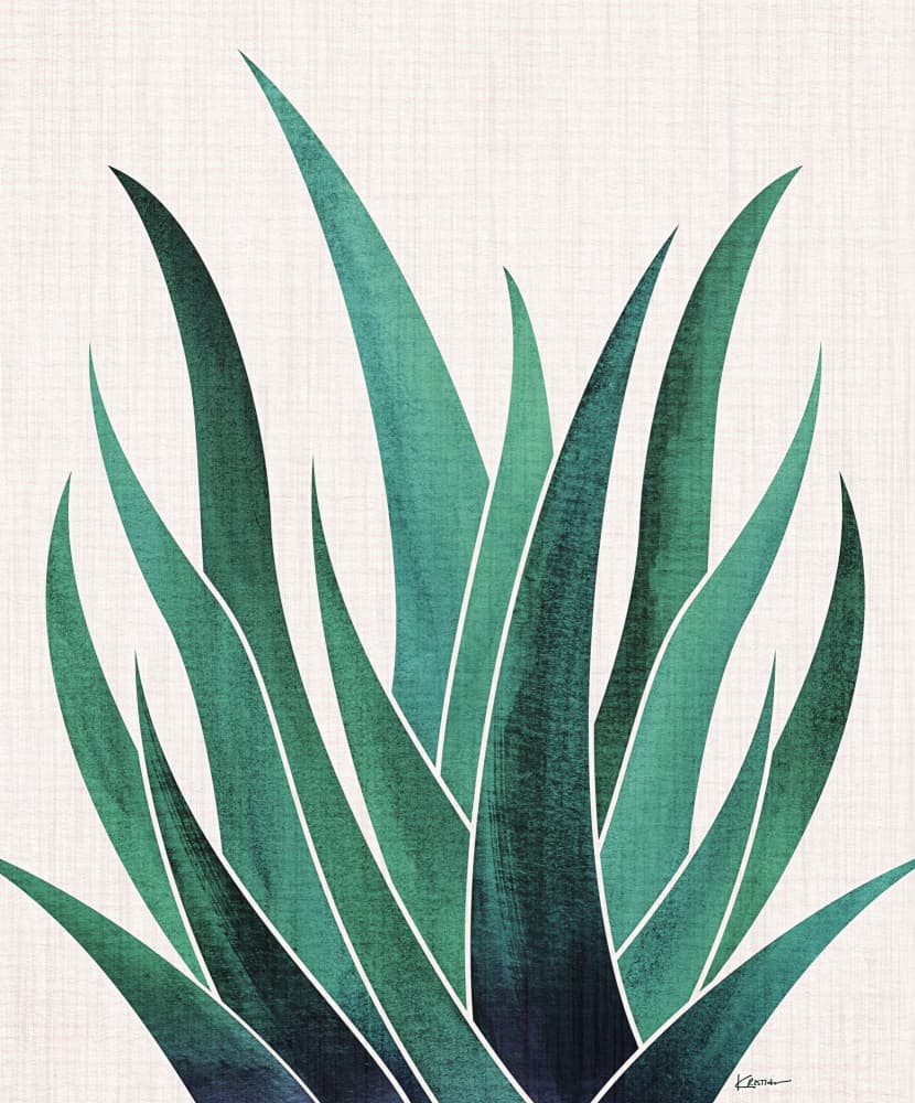 Desert Agave 2 by Kristian Gallagher — canvas wall art