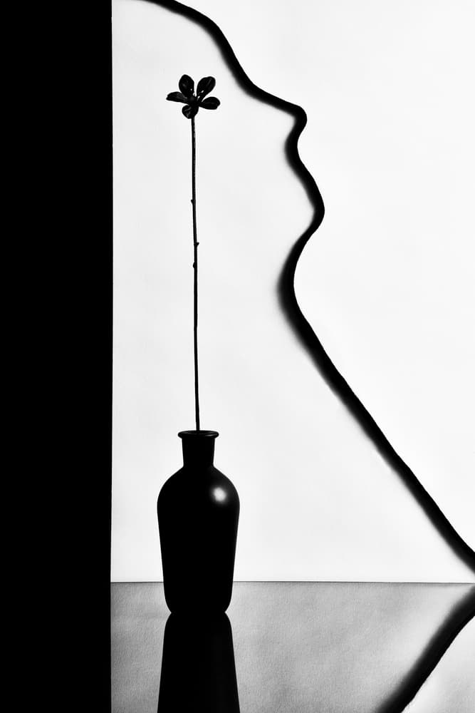 Elegant Profile Bloom by Stephen Clough — canvas wall art