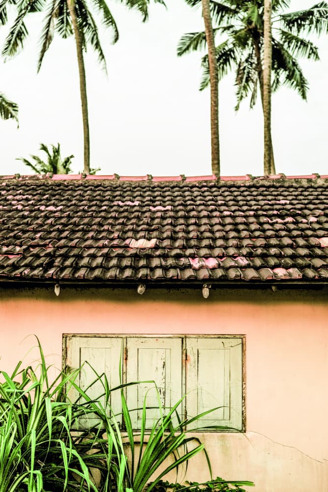 Tropical Retreat by Shot by Clint — canvas wall art