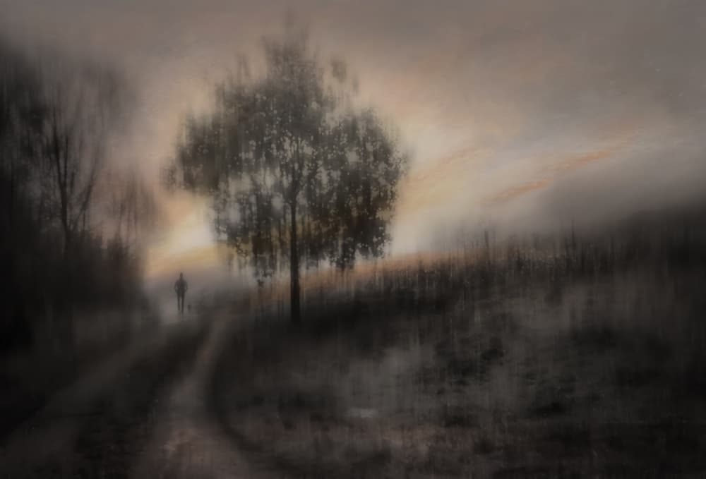 Misty Path Wanderer by Amer Jassim — canvas wall art