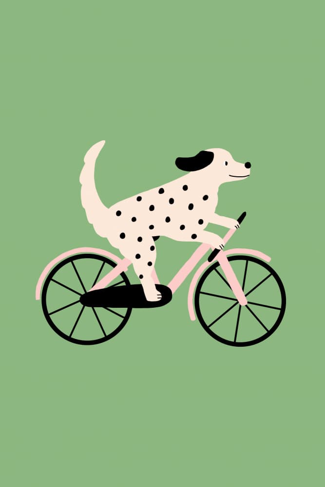 Dalmatian On A Bike