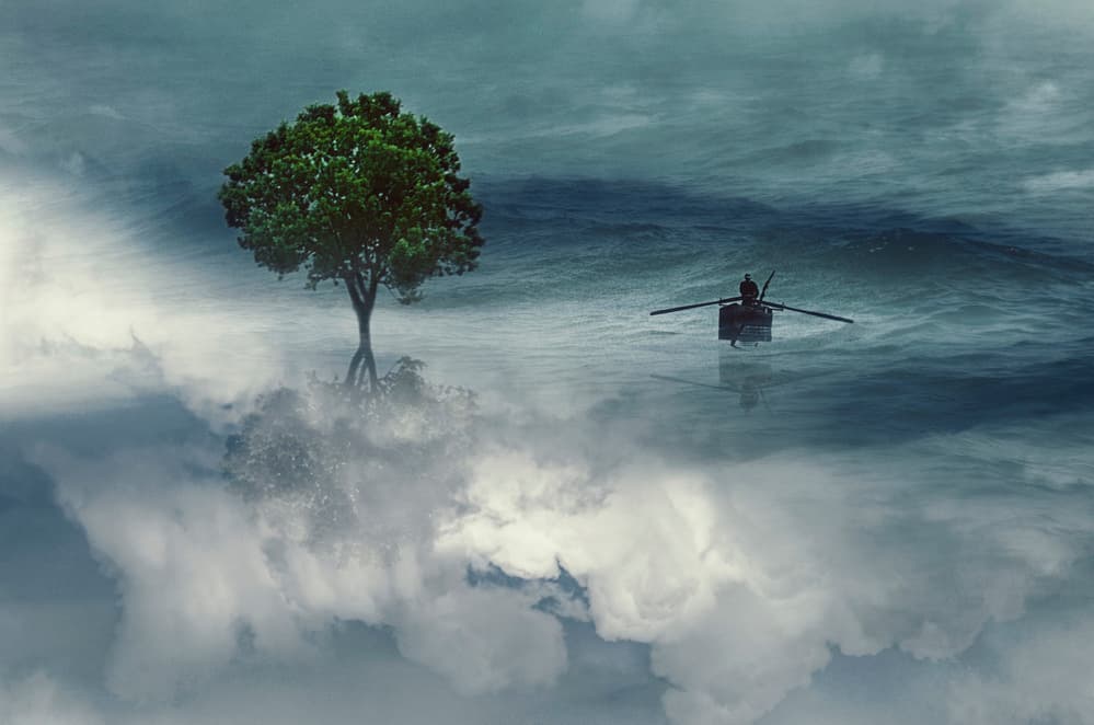 Tree and Boat on Misty Sea by Desislava Ignatova — canvas wall art