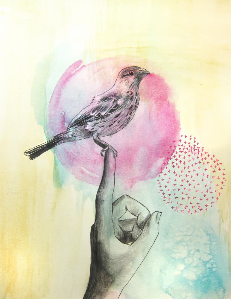 Pink Bird Finger Perch by Christine Lindstrom — canvas wall art