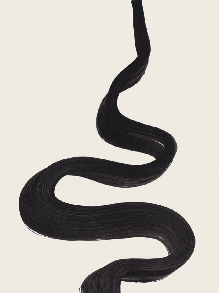 Flowing Black Line by Ejaaz Haniff — canvas wall art
