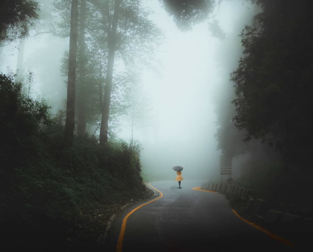 Solitary Walk in Fog by Susnata Majumder — canvas wall art