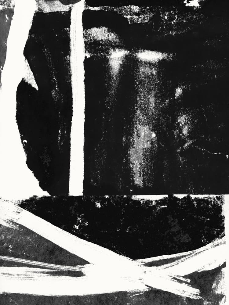 Black White Abstract Strokes by cartissi — canvas wall art