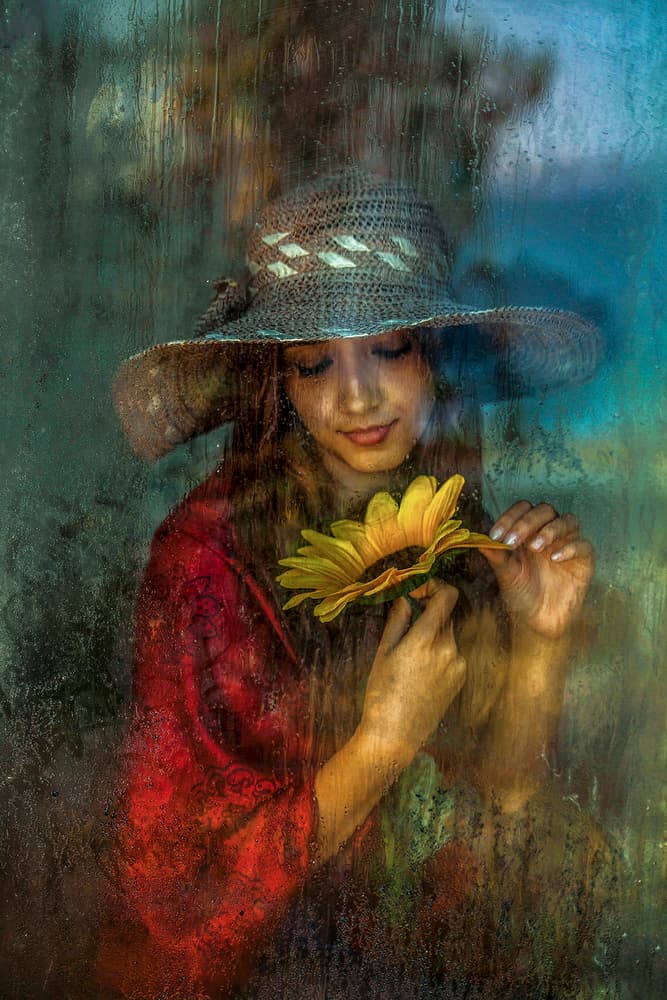Dreamy Sunflower Portrait by Ummu Nisan Kandilcioglu — canvas wall art