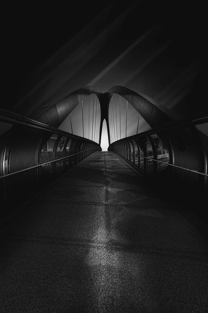 Path To Light by Domenico Petrocca — canvas wall art