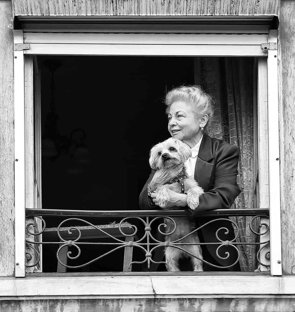 Lady and Dog Window View by Josefina Melo — canvas wall art