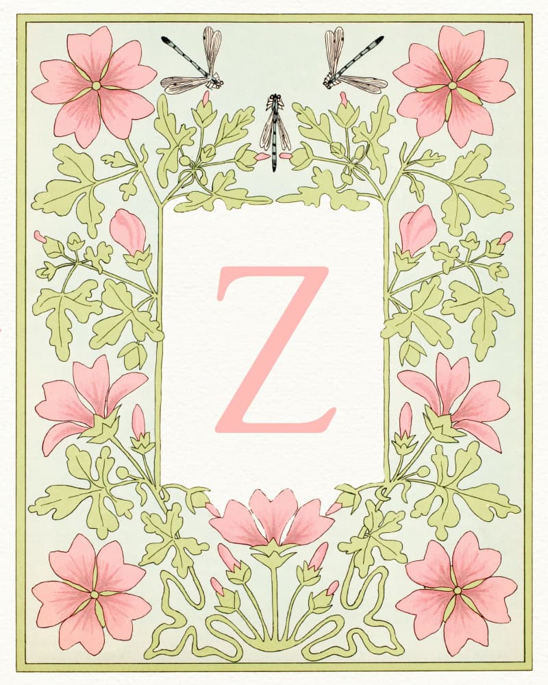 Elegant Floral Letter Z by Wild Violets — canvas wall art