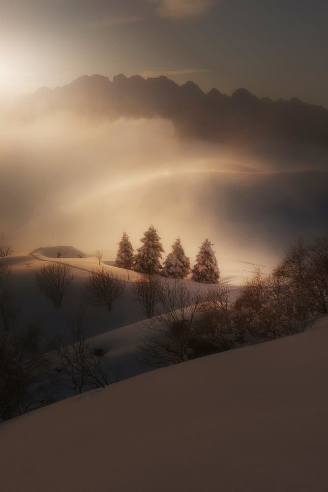 Golden Winter Landscape by Filippo Manini — canvas wall art