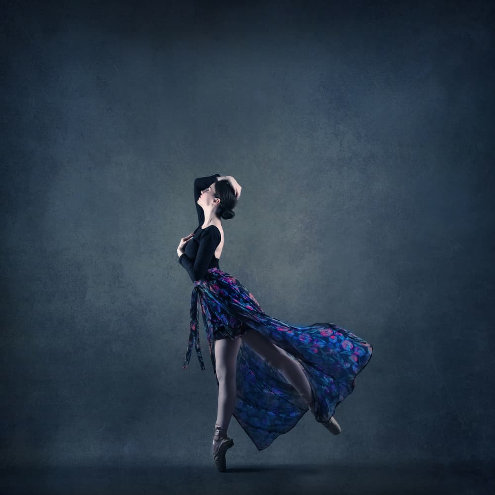 Graceful Ballet Dancer by Moein Hasheminasab — canvas wall art