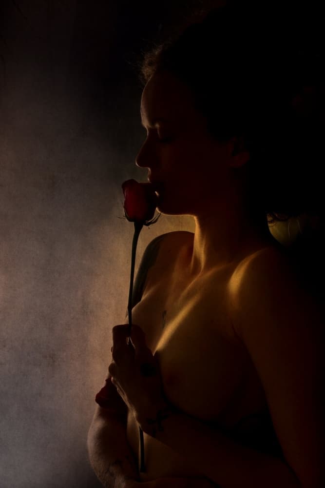 Intimate Rose Portrait by Olga Mest — canvas wall art
