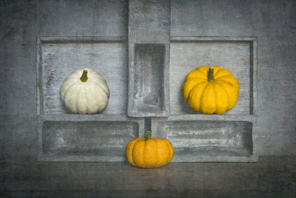 Autumn Gourds Still Life by Luc Stalmans — canvas wall art