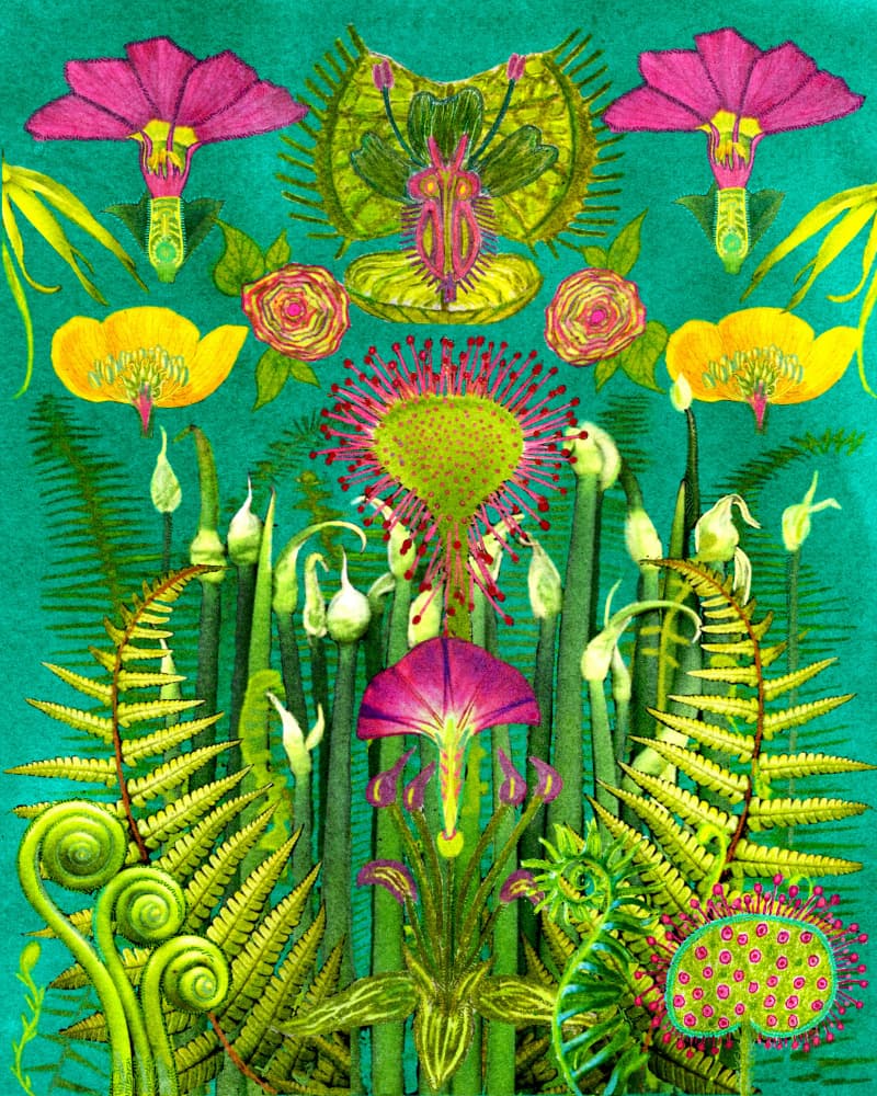 Fantasy Carnivorous Garden by giovanna nicolo — canvas wall art