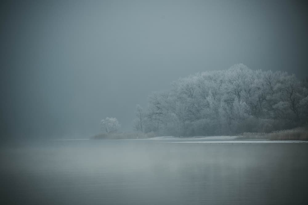 Misty Winter Lake by Renate Wasinger — canvas wall art
