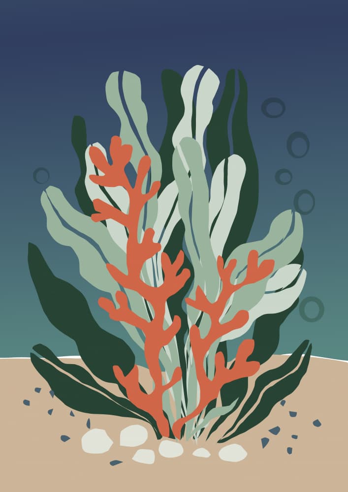 Underwater Coral Garden by casa cartissi — canvas wall art