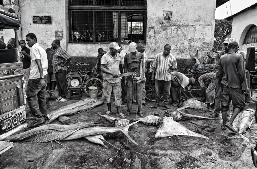 Fish market in Zanzibar. by Joxe Inazio Kuesta Garmendia — canvas wall art