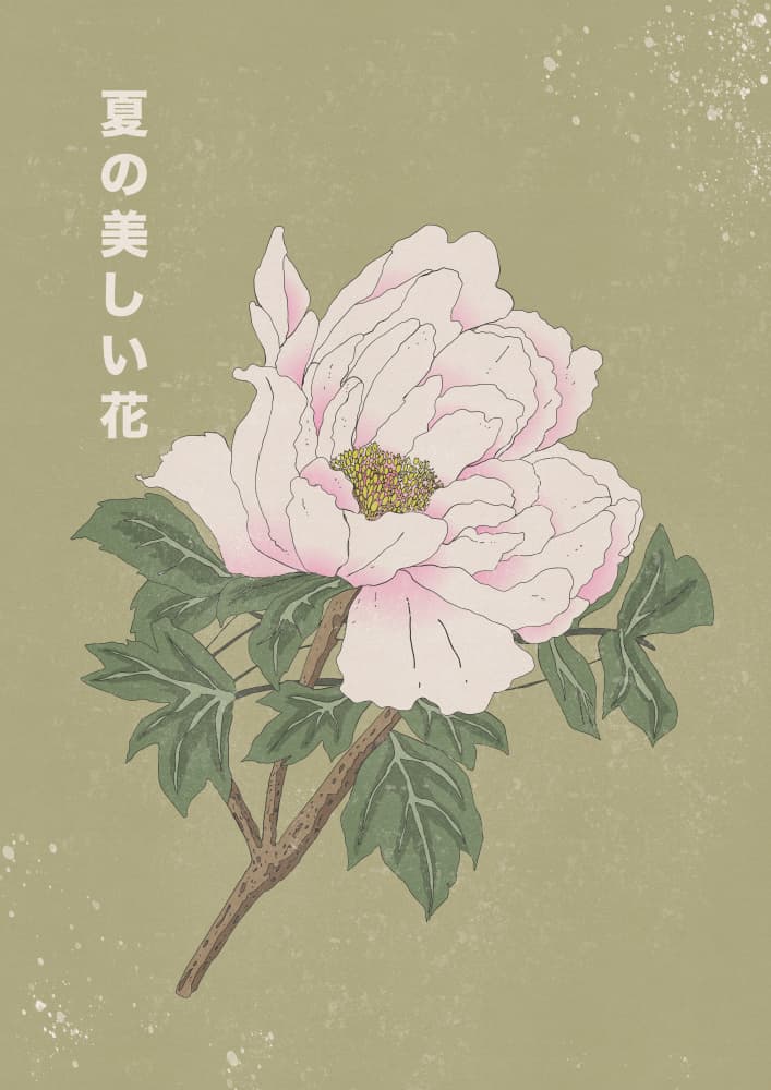 Elegant Summer Peony by Nicholas — canvas wall art